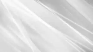 a white background with a silver line