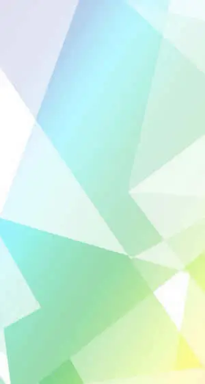 White Abstract Geometric Design