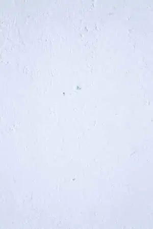 1.  A Solid White Background