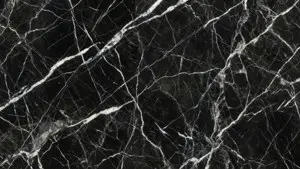 White Vein Dark Marble